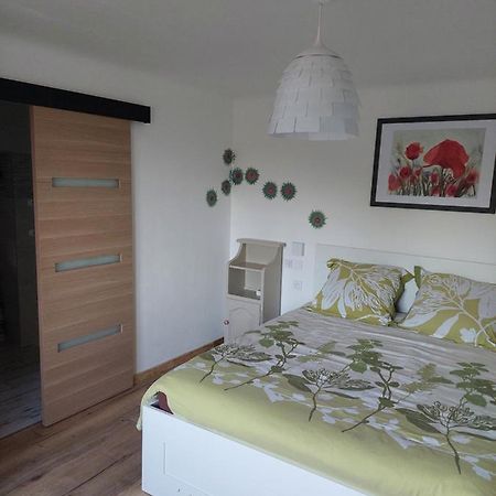 Les Hirondelles Apartment Laquenexy Luaran gambar